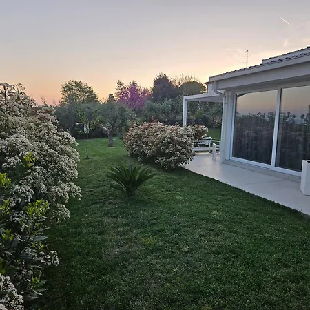 White House Civitanova Marche
